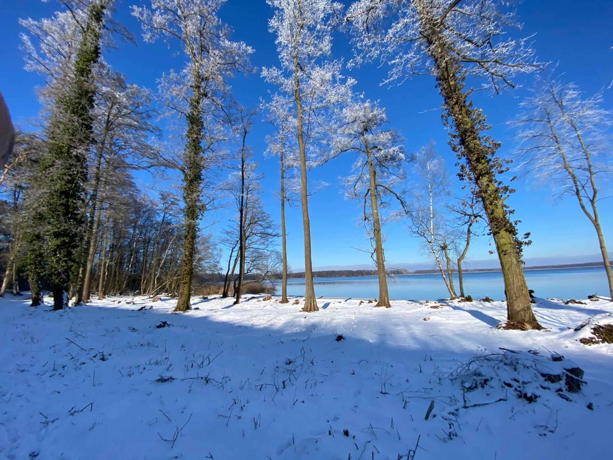 Wolfshotel am Arendsee Arendsee  Buitenkant foto